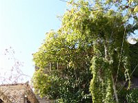 foto 243